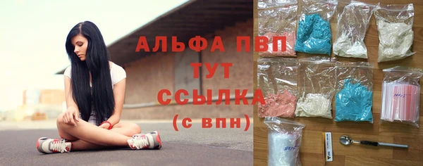 индика Алексеевка