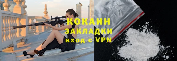 индика Алексеевка