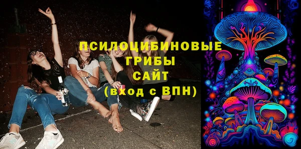 прущие грибы Алзамай