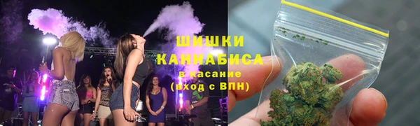прущие грибы Алзамай