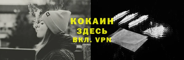 индика Алексеевка