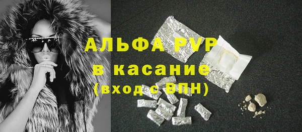 прущие грибы Алзамай