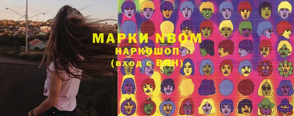 прущие грибы Алзамай
