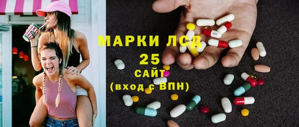 прущие грибы Алзамай
