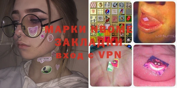 прущие грибы Алзамай