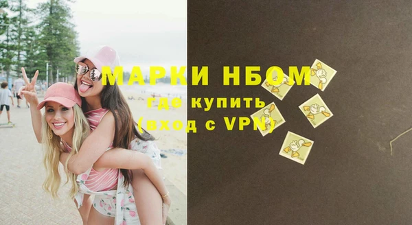 прущие грибы Алзамай