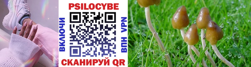 MEGA tor  Ардатов  Псилоцибиновые грибы GOLDEN TEACHER 